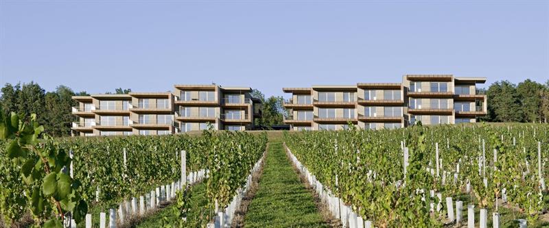 LOISIUM Wine&Spa Resort Südsteiermark Ehrenhausen Exterior foto